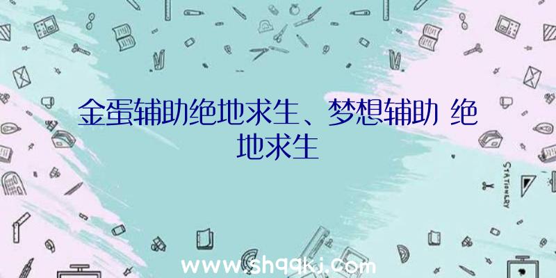 金蛋辅助绝地求生、梦想辅助